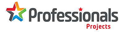 Professionals Projects